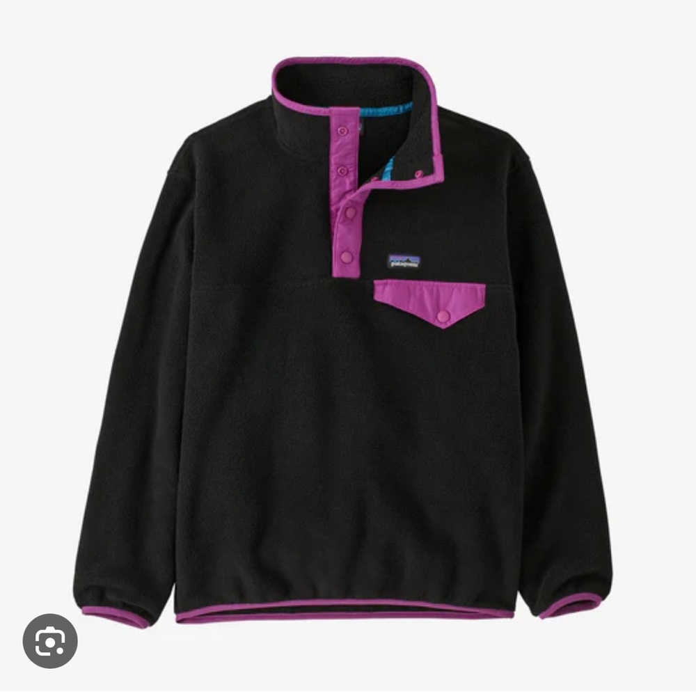 Patagonia Synchilla Fleece